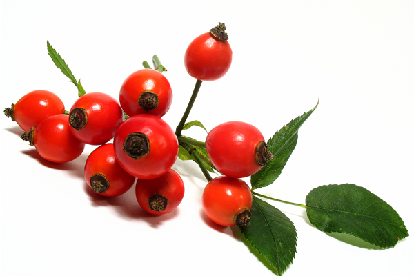 4 Reasons Organic Rosehip Oil Is A Skincare Superstar